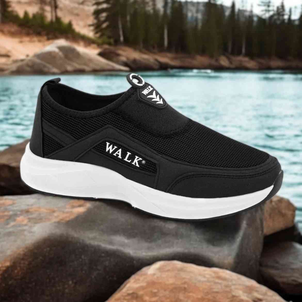 cat shoe